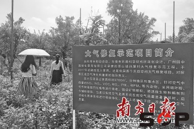茶山啟用開放空間大氣修復(fù)試點(diǎn)